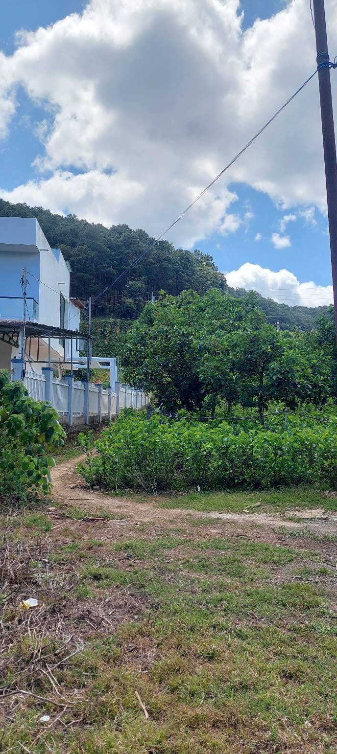 Đất nghỉ dưỡng Mê Linh, Lâm Hà - 2700m² Sổ hồng, View rừng thông