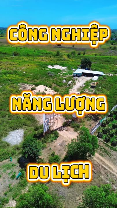 Bán Đất Vườn 20.564m² Tân Thuận, Bình Thuận - Giá 6.5 Tỷ