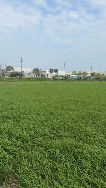 Bán Đất Nền Đông Hưng, Thái Bình 91m² - Giá Đầu Tư 8xx Triệu