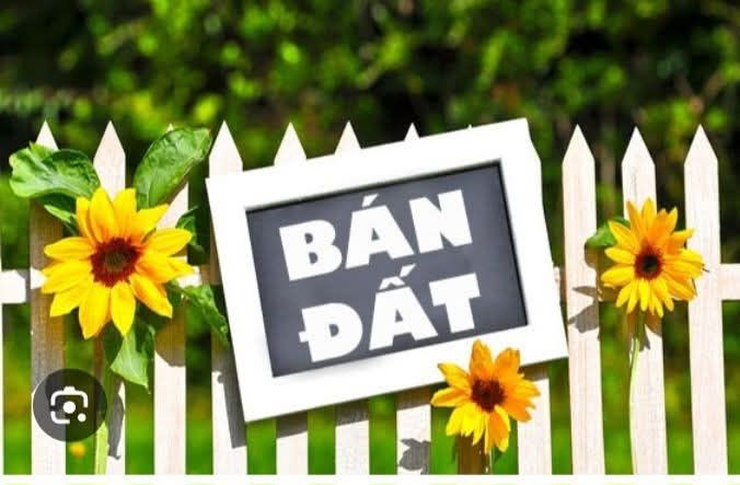 Đất Lục Nam Bắc Giang 318m² - Mặt tiền 10m - Giá F0 chỉ 700 triệu