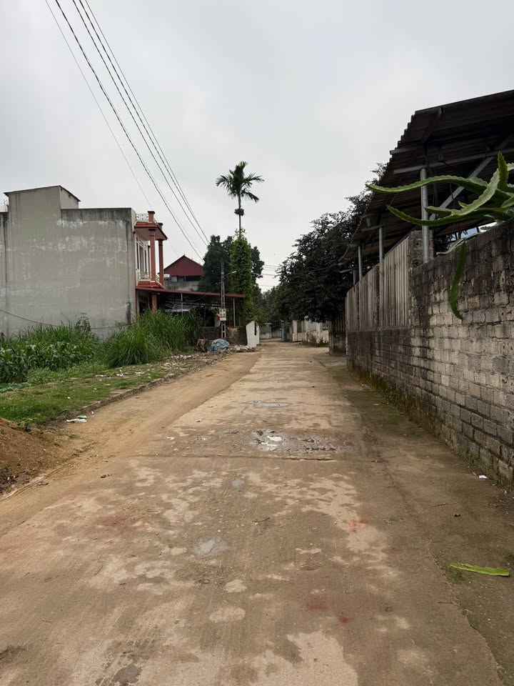 Đất Hợp Thịnh Bắc Giang 106.6m² Sổ Đỏ Giá Tốt - Cơ Hội Đầu Tư Hấp Dẫn