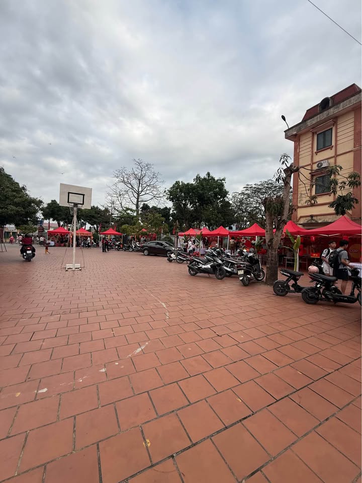 Đất nền 95m² Ngõ Lê Thái Tổ, Nam Trực - Sổ Đỏ Sẵn Sàng, Vị Trí Trung Tâm