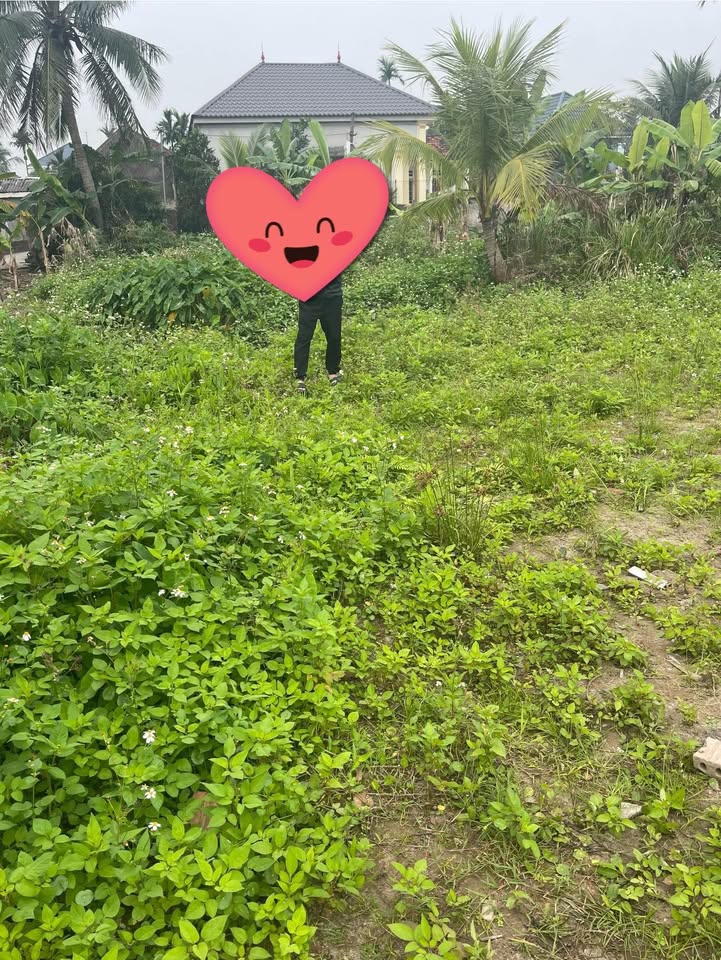 Đất Việt Tiến Vĩnh Bảo 115m² Full Thổ - Giá 6xx Triệu Cực Hời