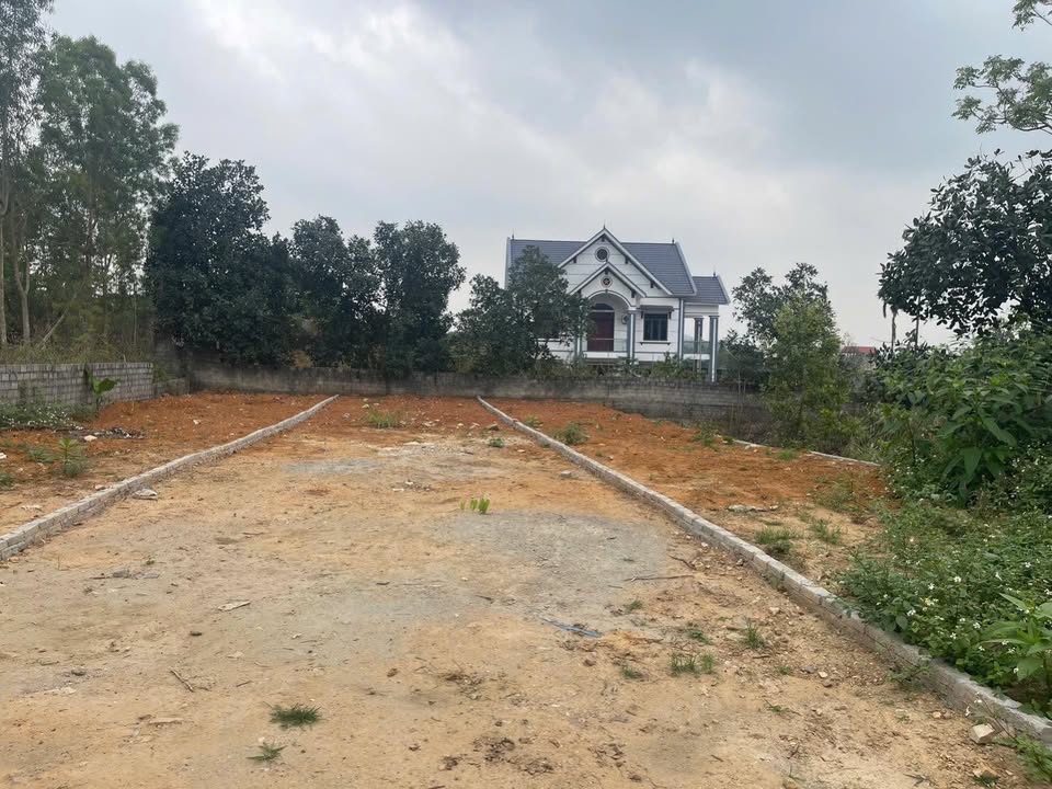 Đất nền Lục Nam 141m² - Sổ đỏ chính chủ, gần KCN Lan Sơn 2