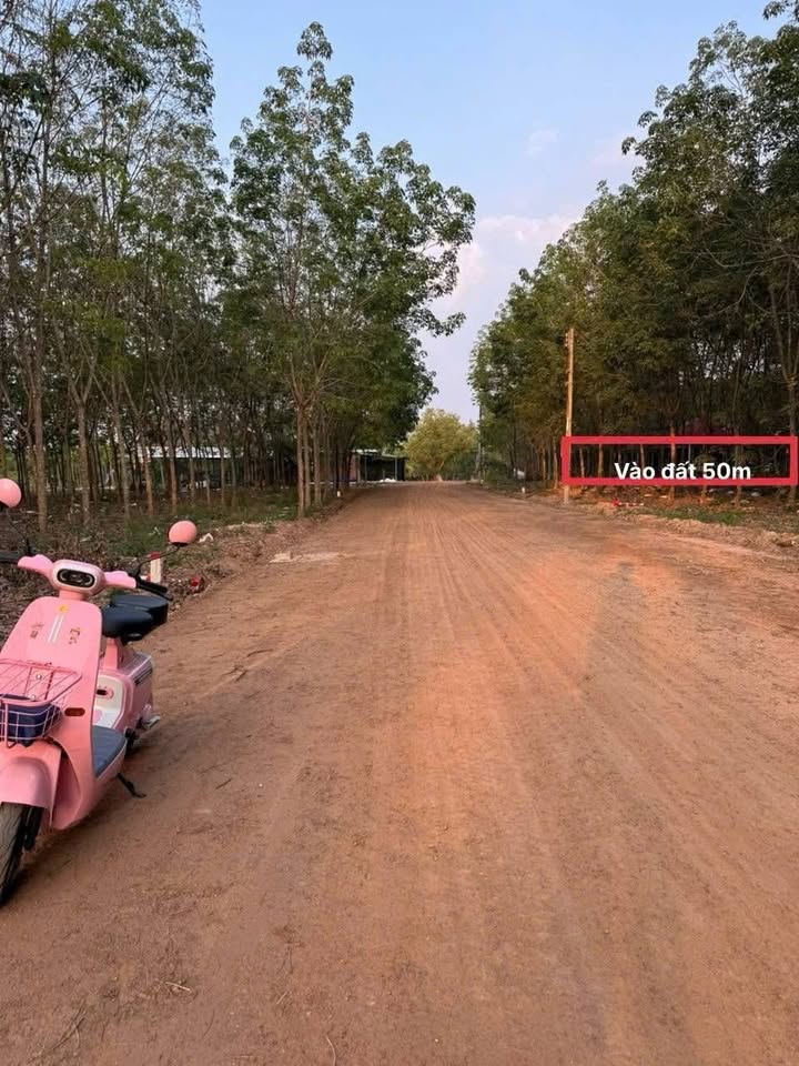 Bán Gấp Đất Vườn 16000m² Bình Dương - Giá Đầu Tư 6 Tỷ