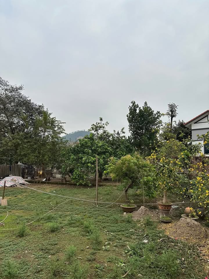 Đất Nền Lô Góc Thanh Thủy 101m² - Vị Trí Vàng, Giá Dưới 2 Tỷ