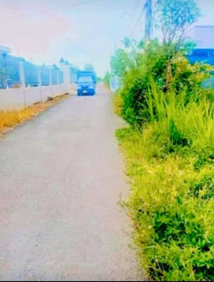 Đất nền mặt tiền nhựa Cầu Bà Trà, Gò Công Đông - 507m² giá chỉ 1.1 tỷ