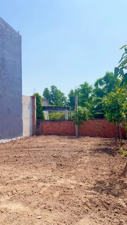 Bán Đất Vườn Tân Vĩnh Hiệp 241m² - Sổ Hồng Riêng, Giá 3.15 Tỷ