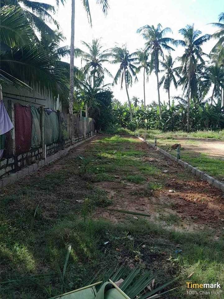 Bán đất nền 130m² Phường Tam Quan, Hoài Nhơn - Sổ đỏ sẵn, đường bê tông