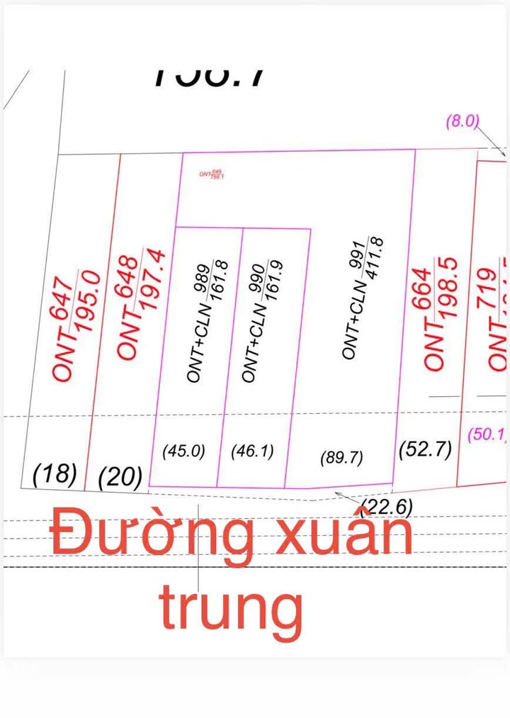 Đất nền mặt tiền Huyện lộ 24 Đô Lương - 162m2 - Kinh doanh sinh lời