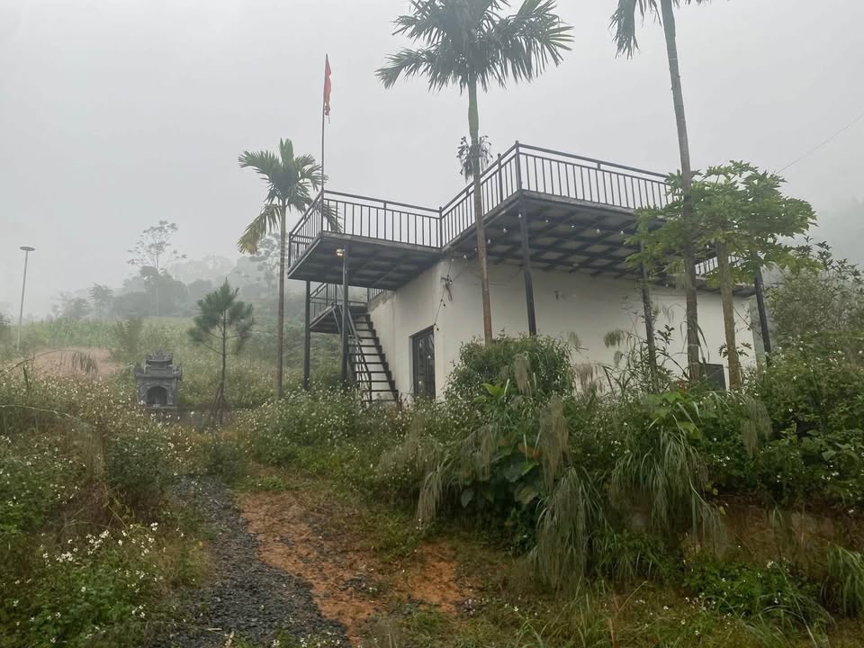 Đất Nghỉ Dưỡng Hòa Lạc 11.500m² - View Thung Lũng, Tựa Núi - Giá 0.85 Triệu/m²