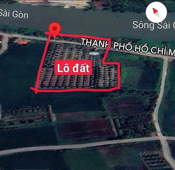 Đất Vườn Sông Sài Gòn Củ Chi 2ha - Dòng Tiền Hàng Năm 40 Tỷ