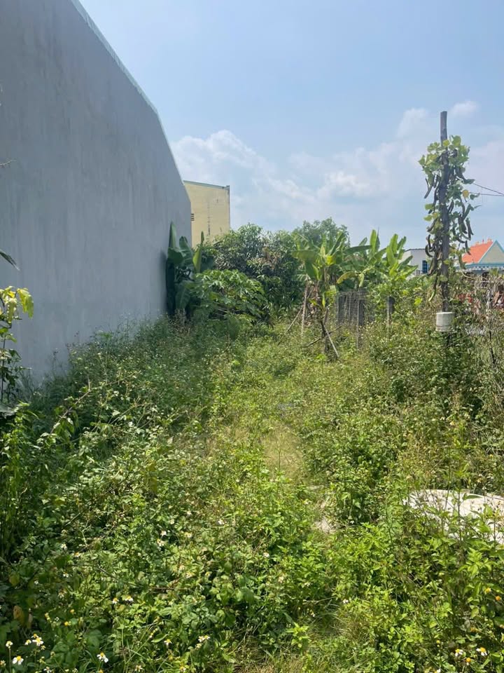 Đất thổ cư Hóc Môn 153m² Sổ hồng - Xây nhà hoàn công ngay