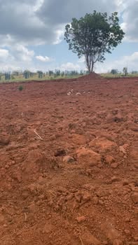 Bán Đất Xã Ea Kuêh 14.000m² - Đỏ Bazan Màu Mỡ, Giá Đầu Tư 14 Tỷ