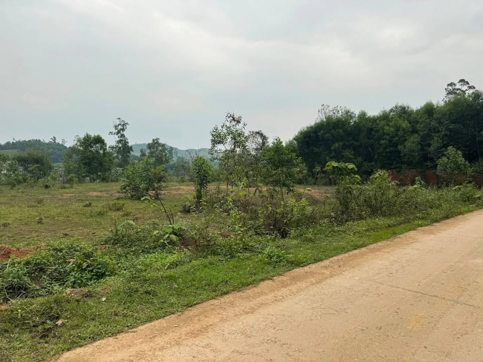 Đất nền Tân Kỳ, Nghệ An - 384m² giá chỉ 600 triệu/lô, sổ sẵn