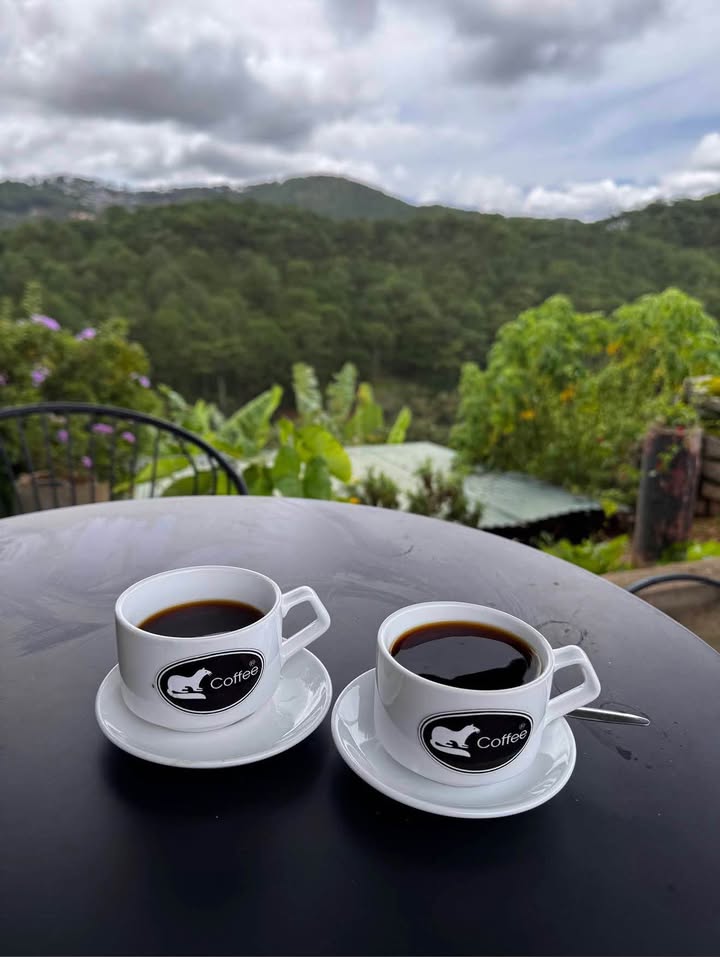 Homestay 8PN 180m² Đức Linh - View Chill, Kinh Doanh Lời Ngay