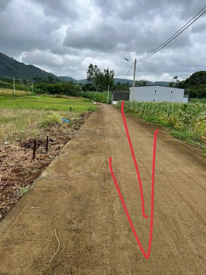 Đất nền 2 mặt tiền Cao Bá Quát, Đức Trọng - Đối diện Sân bay Liên Khương, 1.25 tỷ