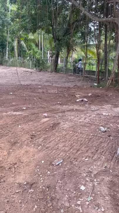 Đất Vườn 1600m² Cửa Lấp, Phú Quốc - Sổ Thổ Cư 100m² - Giá Tốt