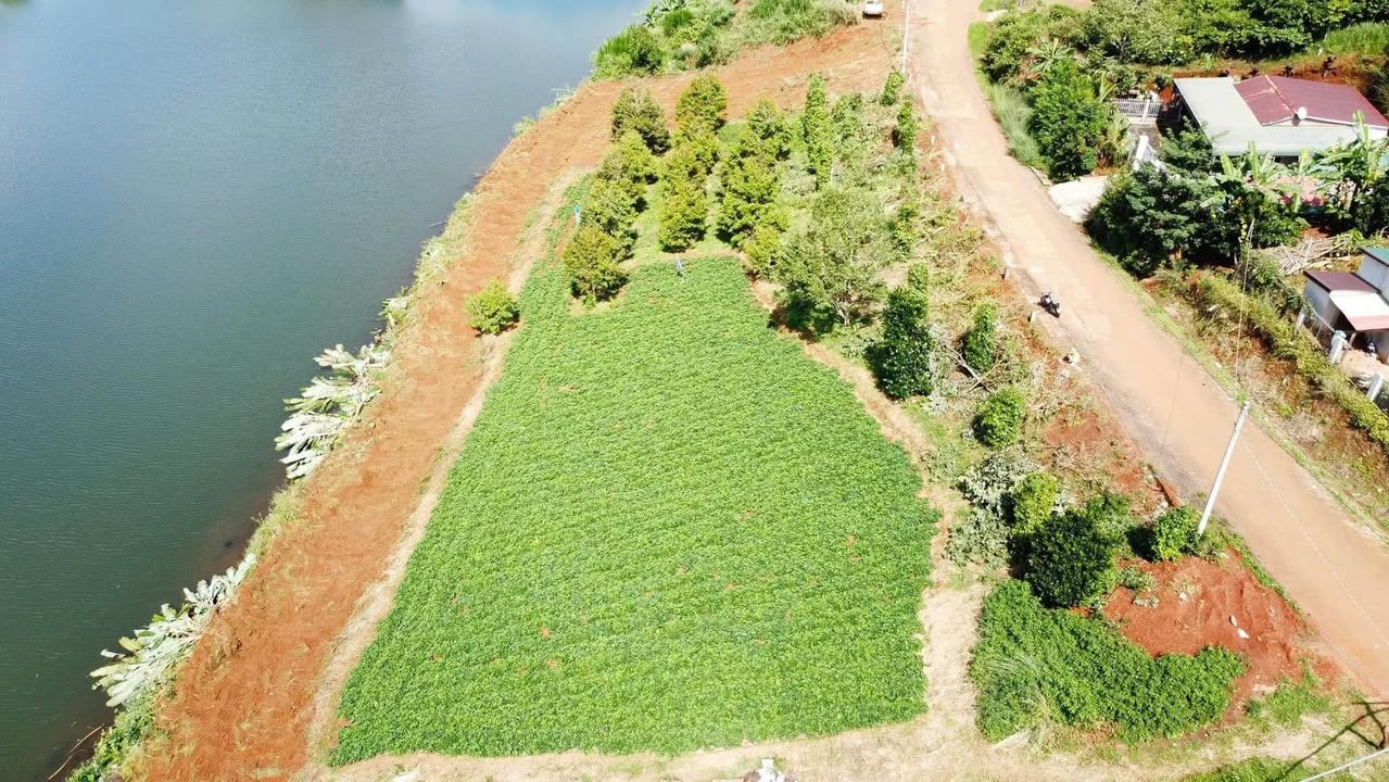 Đất nền Thuận Hạnh 3.360m² 45tr/m ngang - Sổ đỏ chính chủ