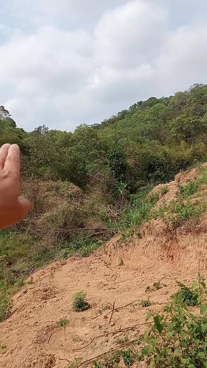 Bán Gấp 2 Sào Đất Điều Trúc Sơn, Cư Jút Giá 650 Triệu