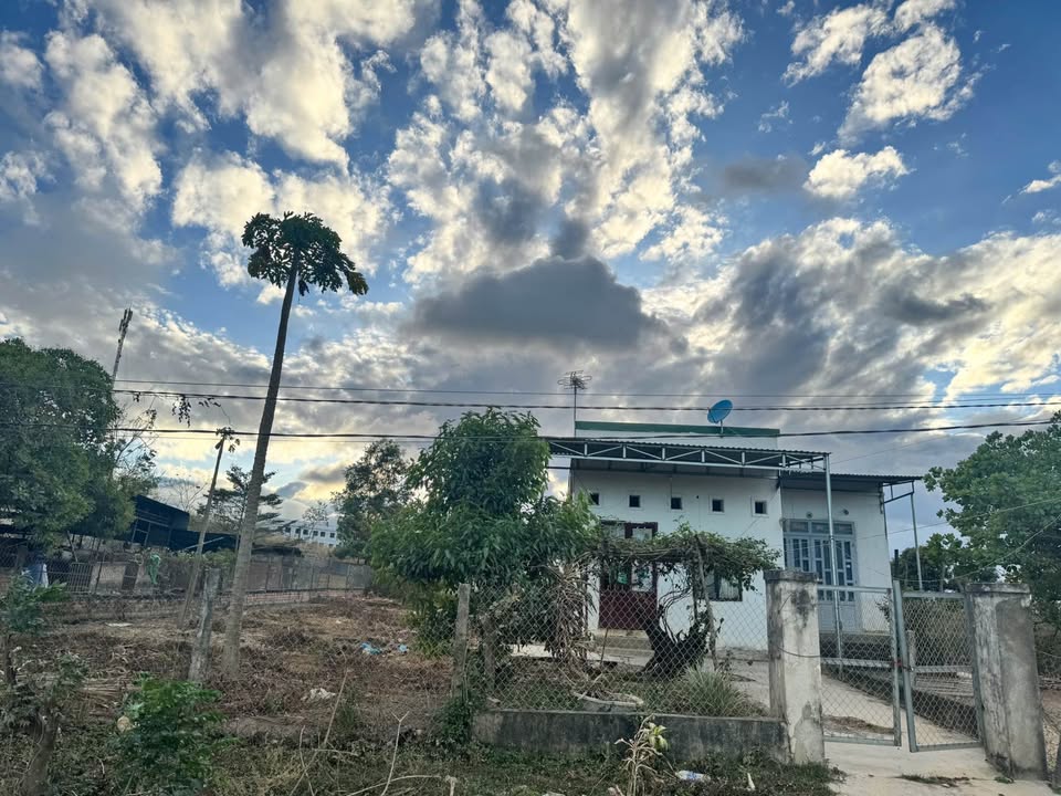 Đất Nền 150m² Đường Mai Hắc Đế, Đà Lạt - Sổ Đỏ Rõ Ràng