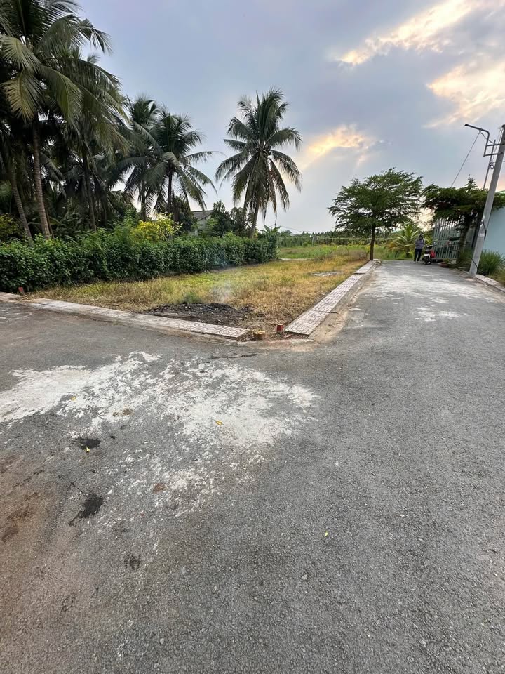 Đất Thổ Cư 160m² 2 Mặt Tiền Đường Nhựa - Châu Thành, Đồng Tháp