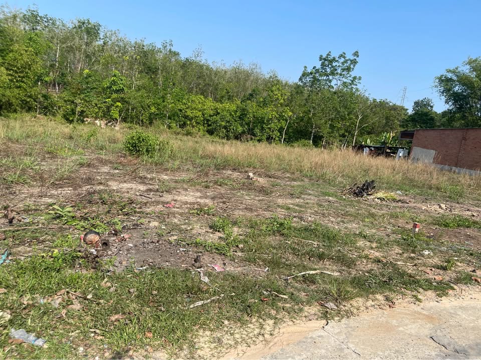 Bán Đất Chơn Thành Bình Phước 390m² - Sổ Đỏ Sẵn Sàng