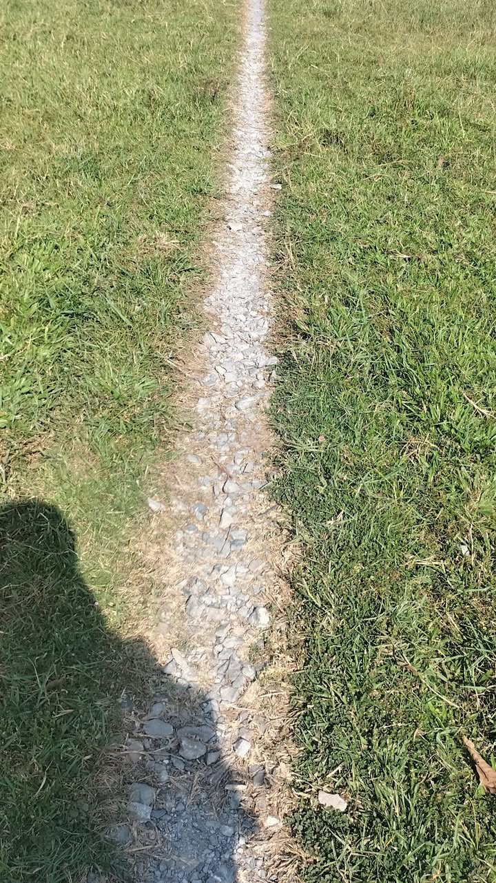 Bán đất 344m² Ấp Nê, Trà Vinh - Giá 200 Triệu, Sẵn Điện Nước