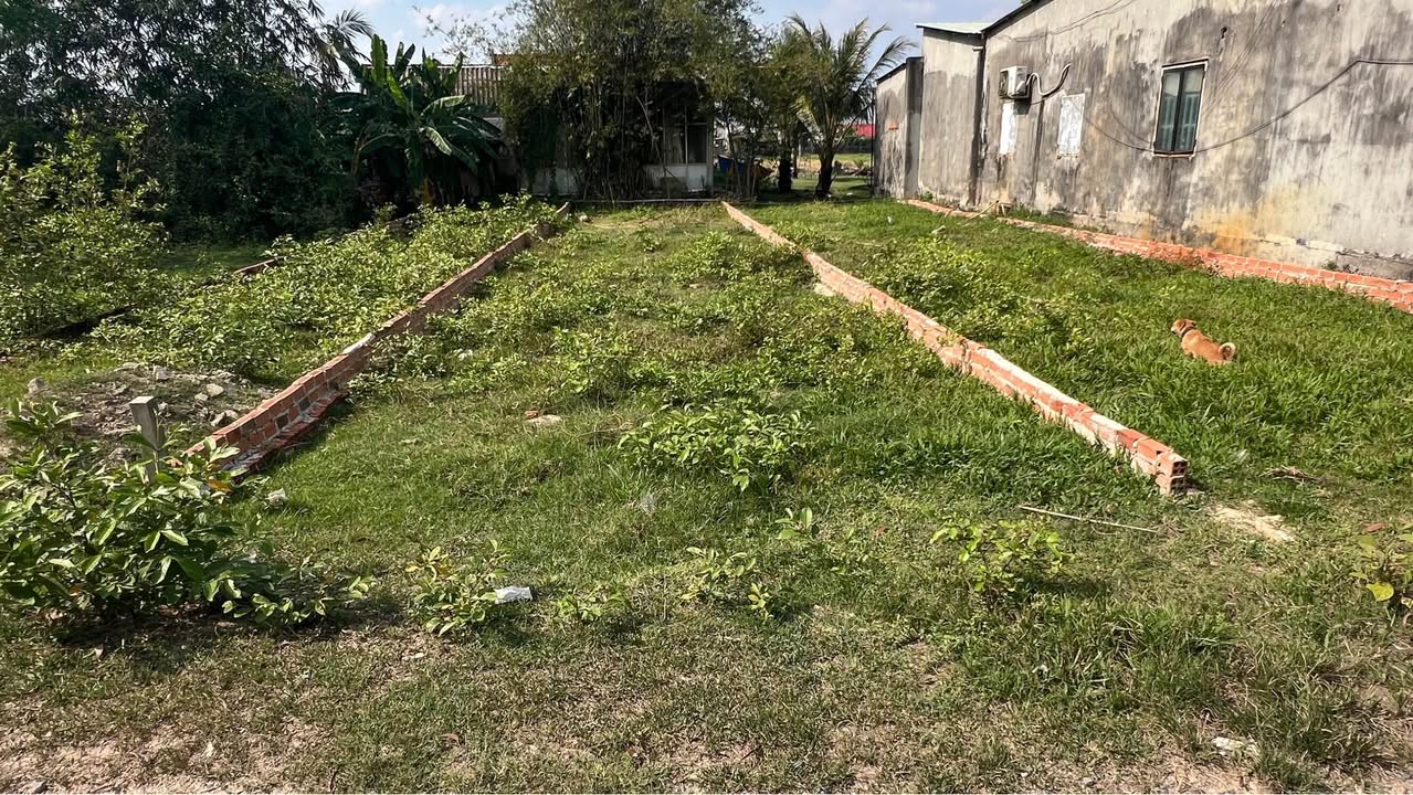 Đất Nền Mỹ Hạnh Nam, Đức Hòa 125m² - Sổ Hồng Riêng, Giá Tốt 780 Triệu