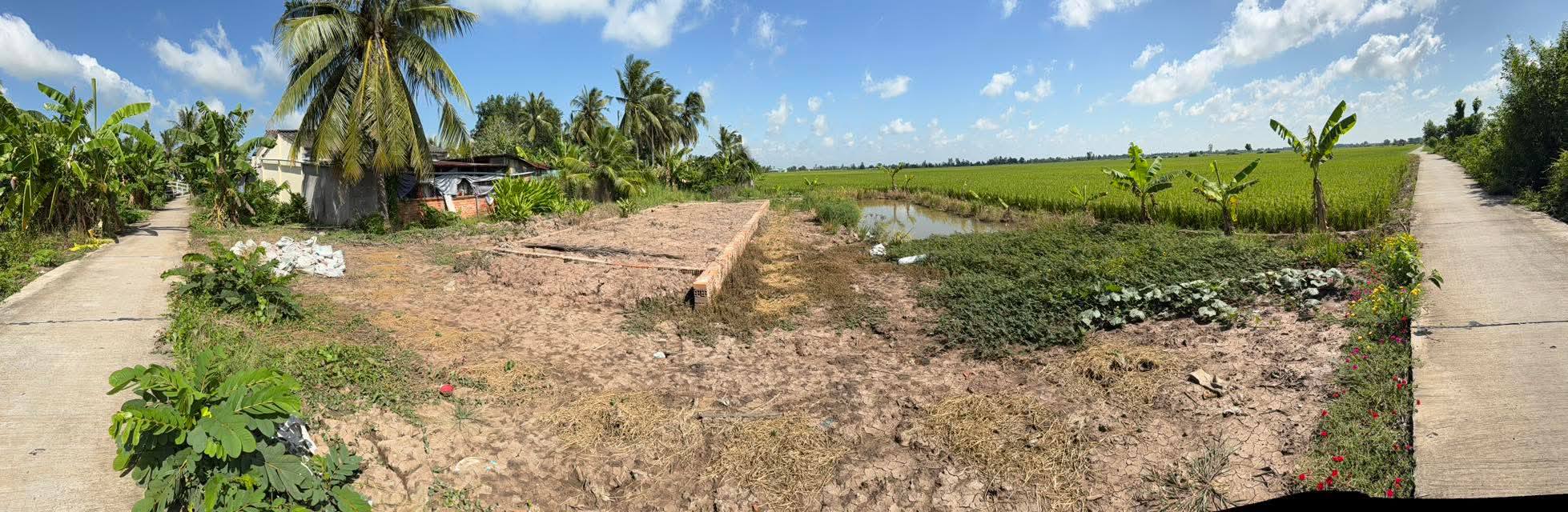 Đất Nền Cà Mau 150m² - Sẵn Sàng An Cư, Giá Chỉ 250 Triệu