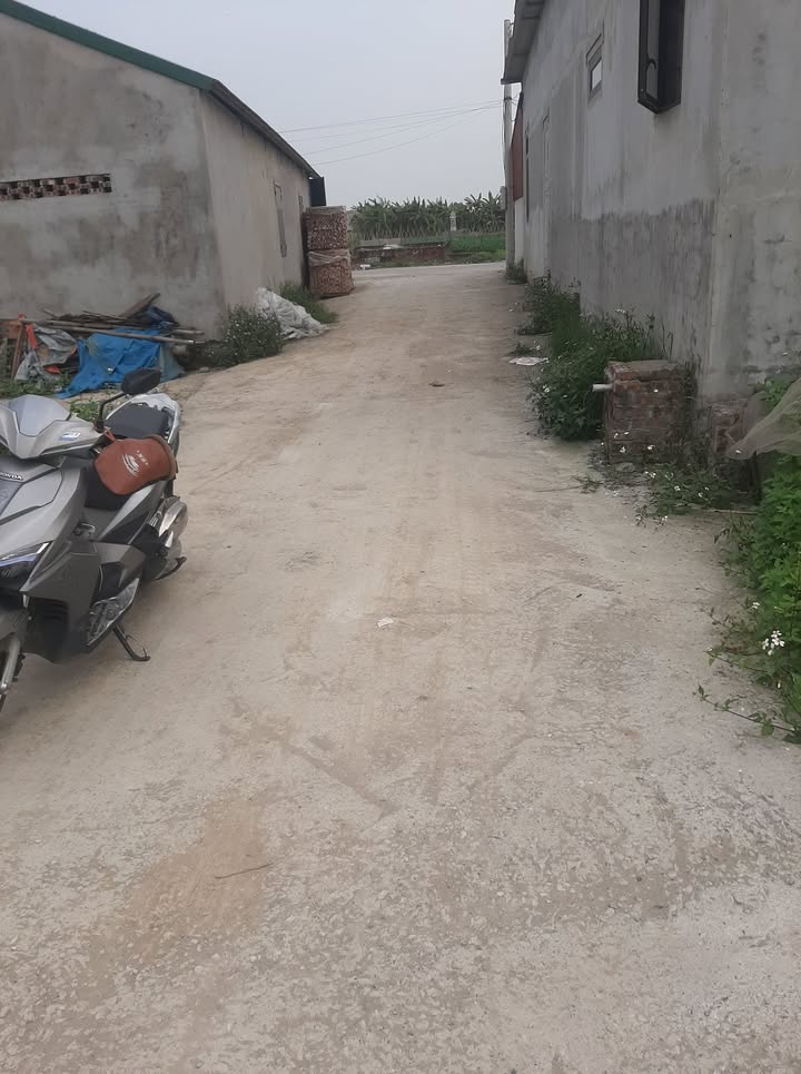 Bán đất Phường Vũ Ninh, Bắc Ninh 92m² - Sổ đỏ sẵn sàng, tiềm năng sinh lời cao