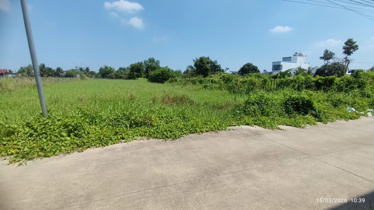 Đất Nền Sổ Riêng Mặt Tiền Đường 270m² - Gần BV & Vinhomes, Đức Hòa, Long An