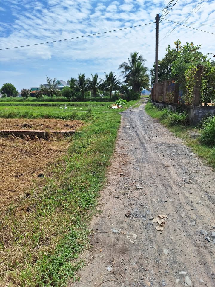 Bán Đất Đức Lập Long An 125m² Sổ Riêng - Giá Tốt 1 Tỷ