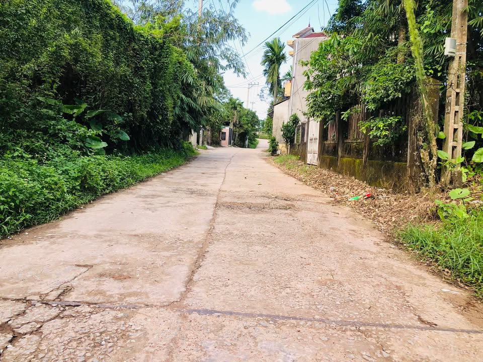 Đất Vàng Mặt Tiền Vũ Ngọc Phan, Huế - 1000m² Chỉ 17.5 Tỷ