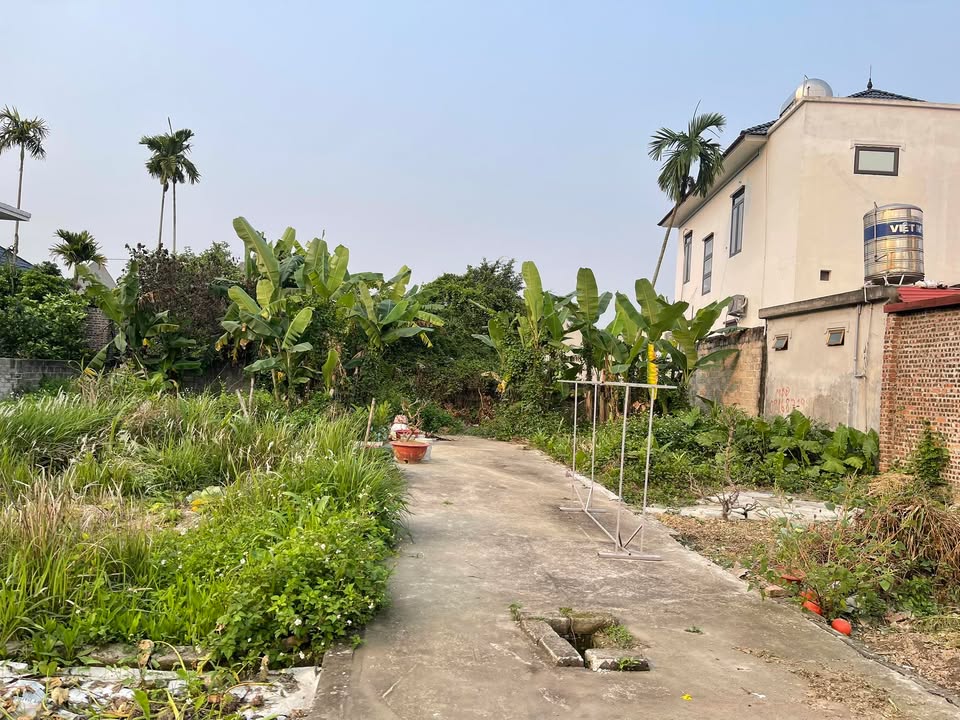 Đất nền 60m² Hải An, Hải Phòng - Sổ đỏ sẵn sàng, giá 820 triệu