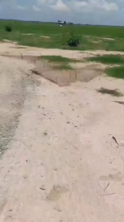 Bán Đất Vườn Tiềm Năng 3.67 Ha Mặt Tiền Đường Ô Tô, Long An - Giá Đầu Tư 10.2 Tỷ