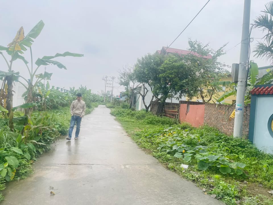 Đất Nền An Bình, Bắc Ninh 60m² - Sổ Đỏ Sẵn Sàng, Giá Đầu Tư