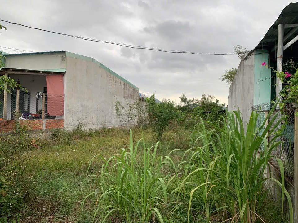 Đất Nền Phường Bùi Thị Xuân, Quy Nhơn - 169m² Sổ Hồng, Giá 600 Triệu