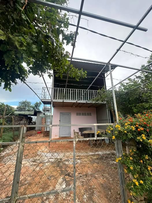 Nhà nguyên căn Đặng Trần Côn, An Nhơn - 300m² Giá 1 Triệu/Tháng