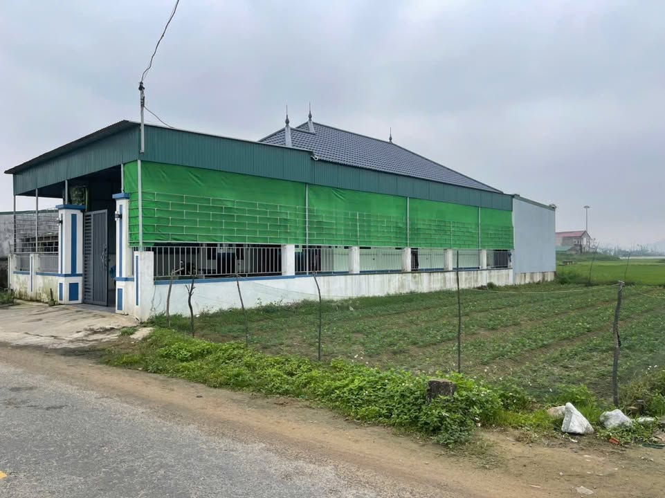 Bán Đất Kinh Doanh Mặt Tiền Trục Chính Xã Thạch Mỹ - Hà Tĩnh, 100m² Giá 1.4 Tỷ