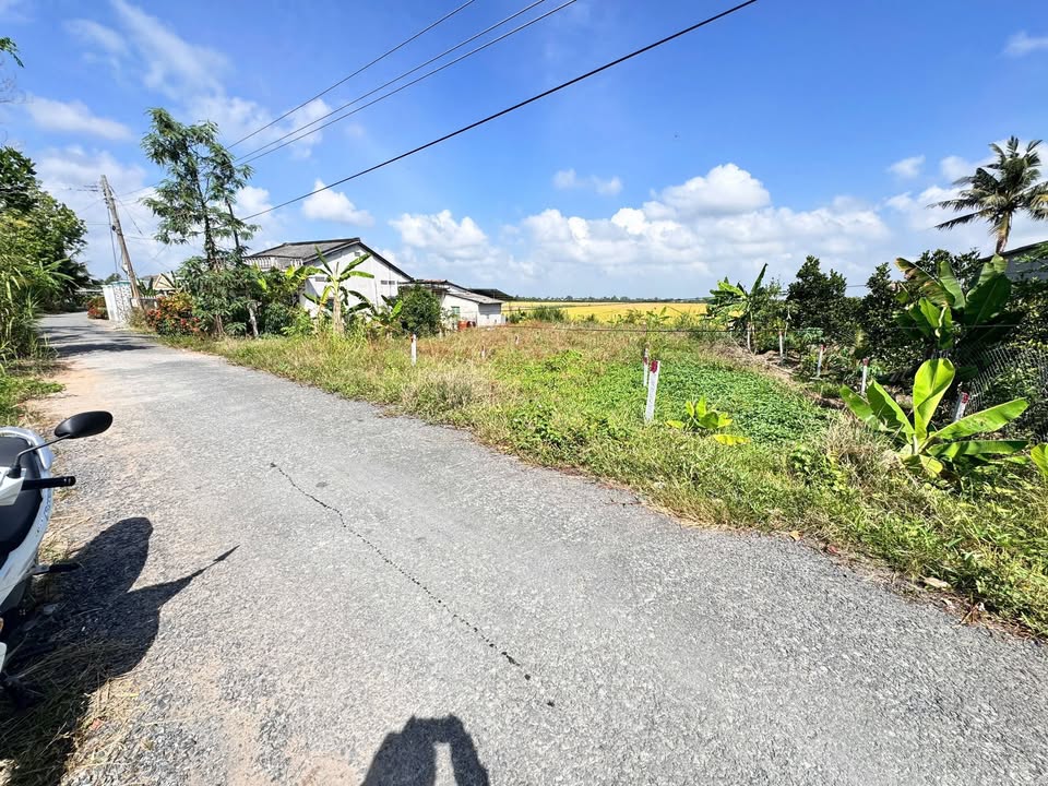 Đất thổ cư mặt tiền 179m² Đường Huyện 87, Vĩnh Long - View sông mát mẻ