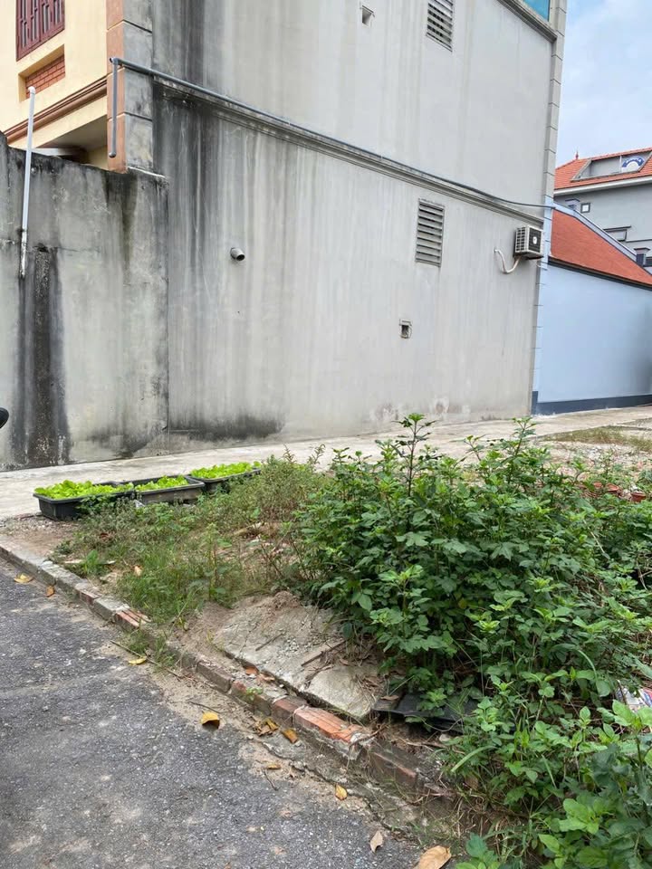 Đất nền Đa Tốn - Lô góc 48.6m² Hưng Yên, nhỉnh 4 tỷ - Sổ đỏ chính chủ