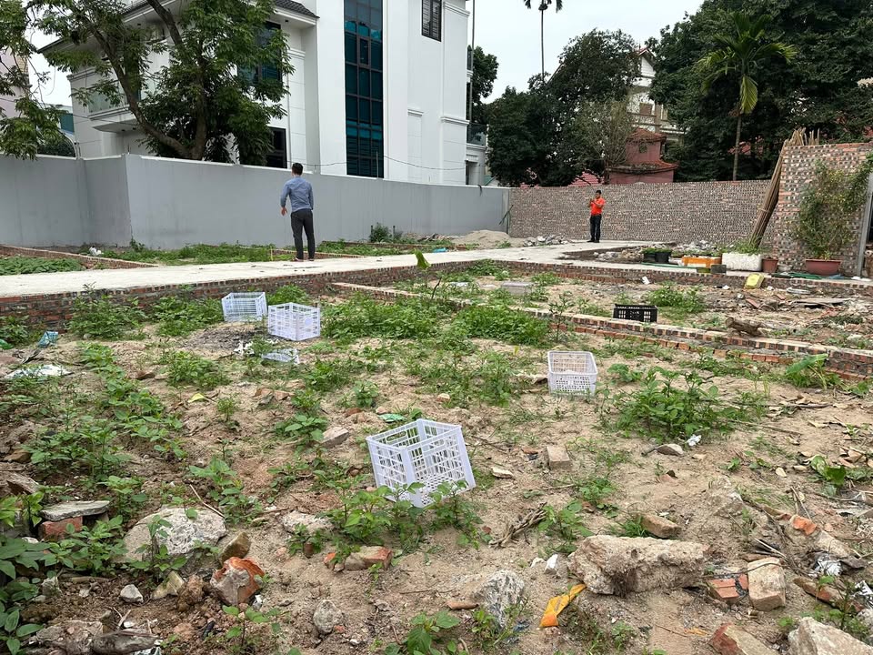 Đất Nền Như Quỳnh 42.6m² - Giá 1.3 Tỷ, Sổ Đỏ Rõ Ràng