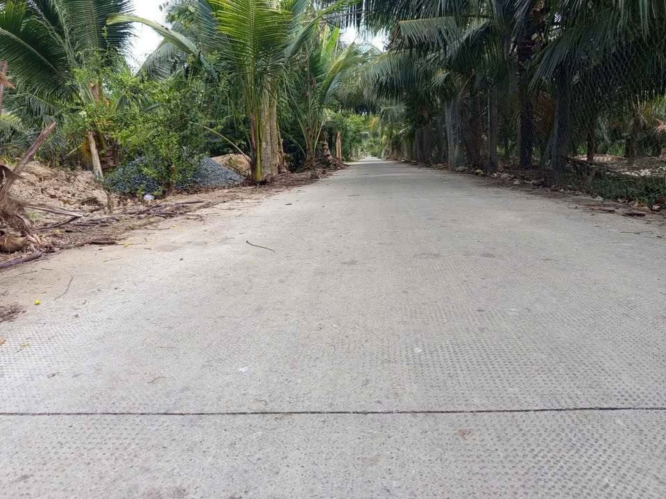 Đất Mặt Tiền Lộ Xe Tải 35.000m² Bến Tre - Giá 5.2 Tỷ Có Nhà Tiền Chế