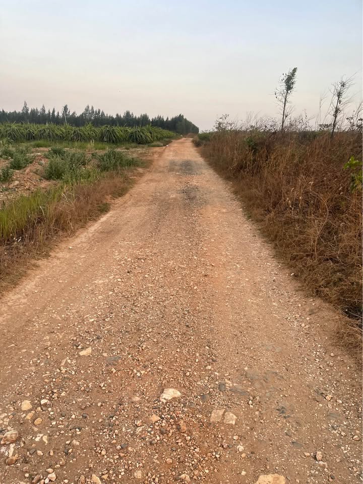 Bán Gấp Đất Vườn 32400m² Hàm Kiệm, Bình Thuận - Giá Đầu Tư 1.26 Tỷ