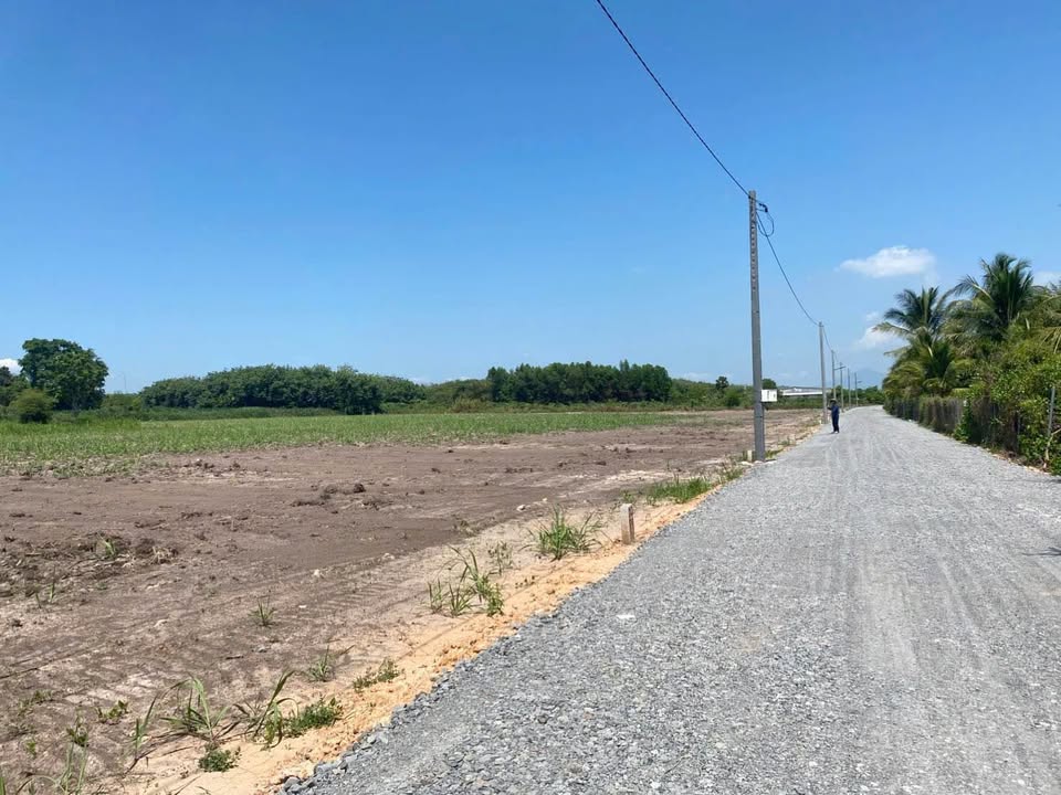 Đất nền 1000m² mặt tiền đường đá mi, Châu Thành, Tây Ninh - Giá tốt