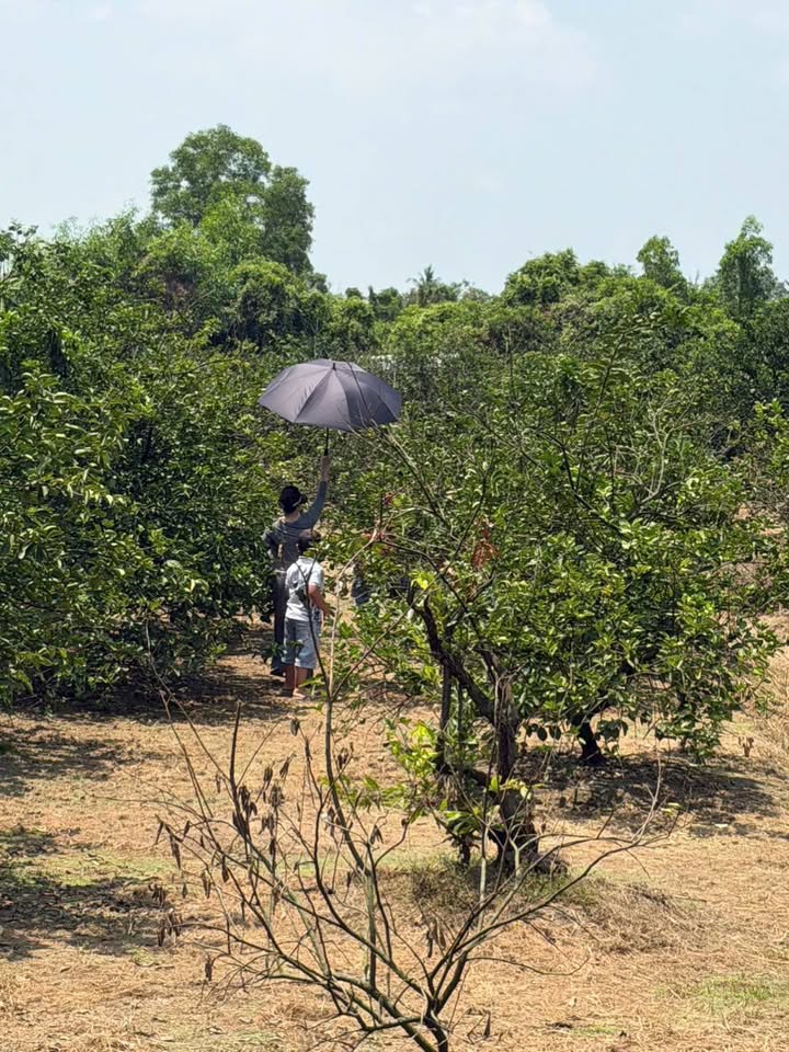 Đất Vườn Xã Thạnh Lợi Long An 1000m² - Sổ Hồng Sẵn Sàng Đầu Tư