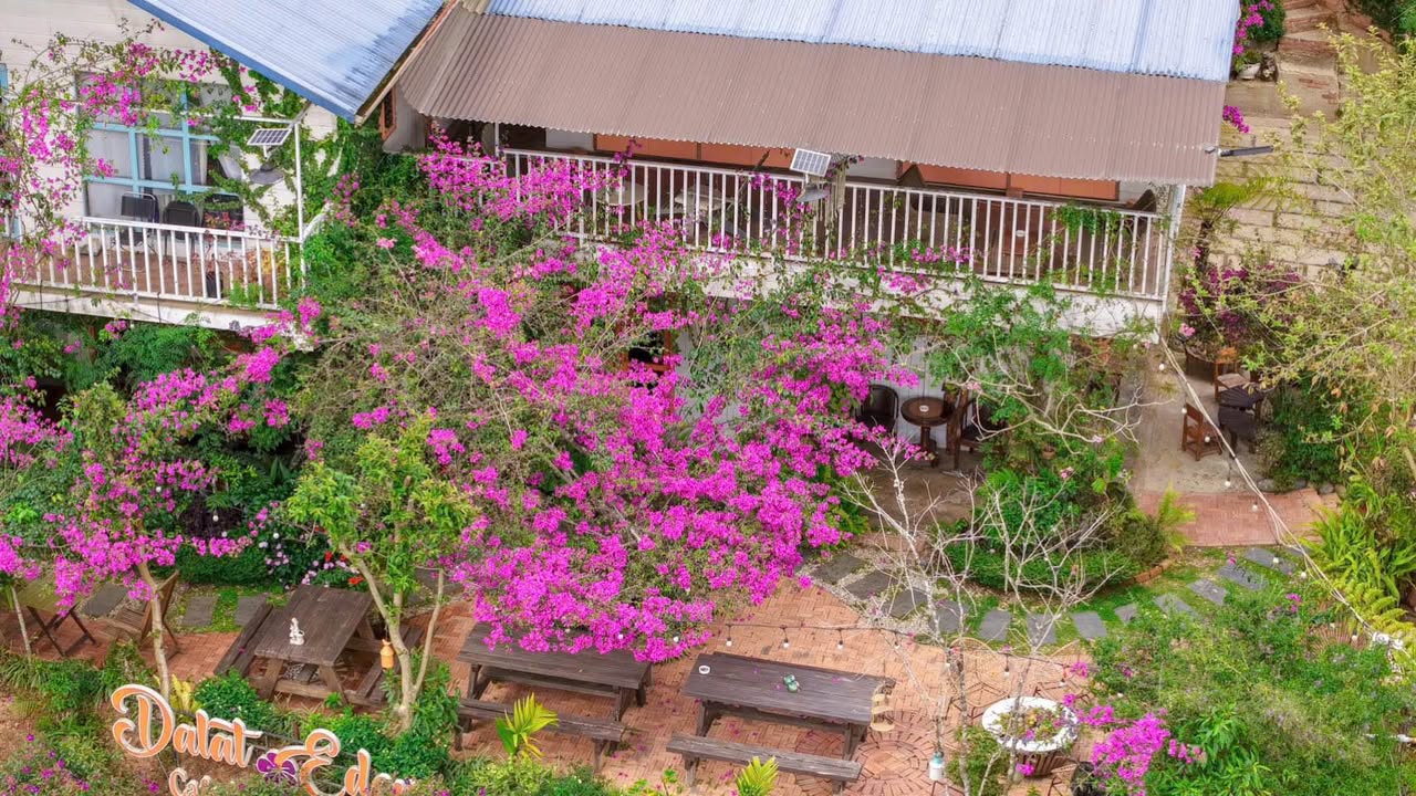 Đất Nghỉ Dưỡng Đà Lạt 4000m² Mặt Tiền Đường Nhựa - Dòng Tiền Ổn Định