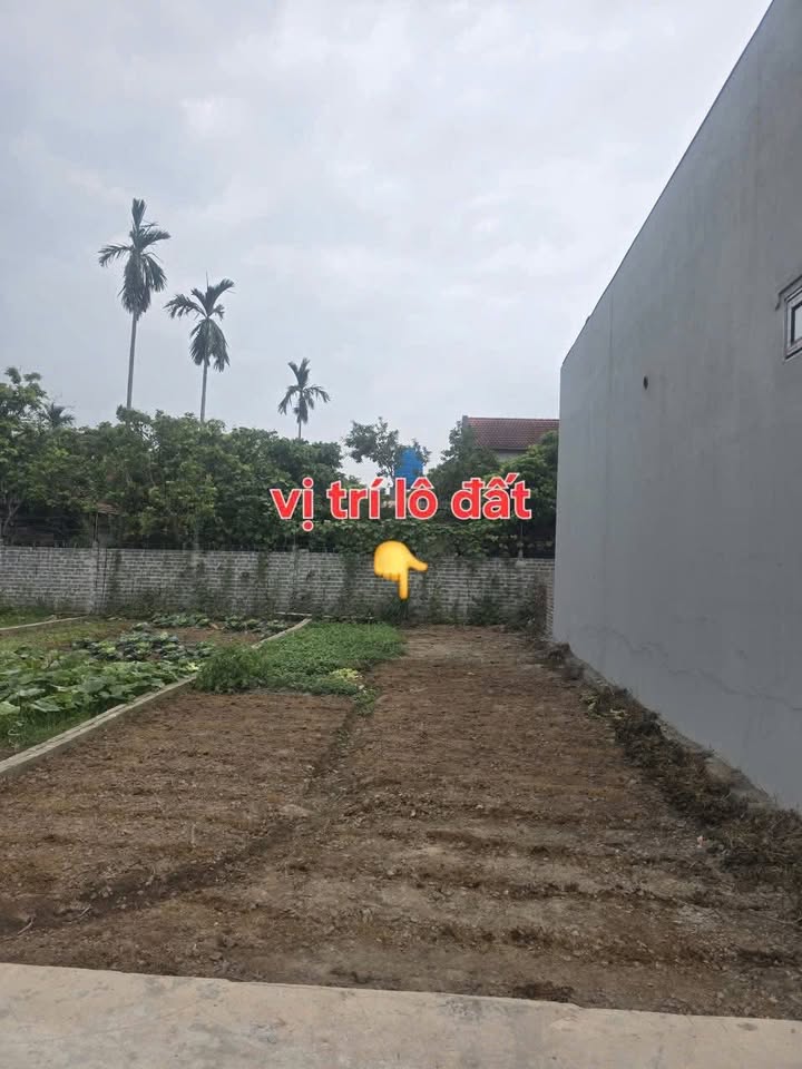 Bán Đất Nền 76m² Thổ Cư Tại Khoái Châu, Hưng Yên - Sổ Đỏ Sẵn Sàng