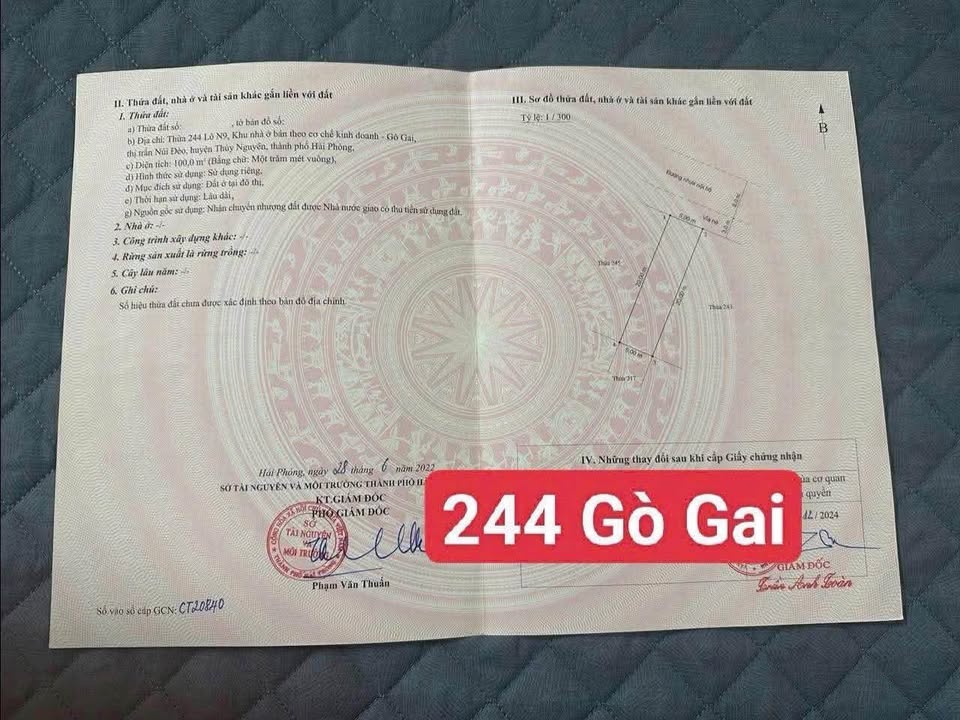 Bán Đất Vàng 100m² Mặt Tiền Gò Gai, Hải Phòng - Giá 4.x Tỷ